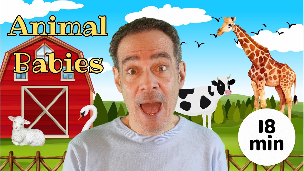 baby learning | learn animal baby names